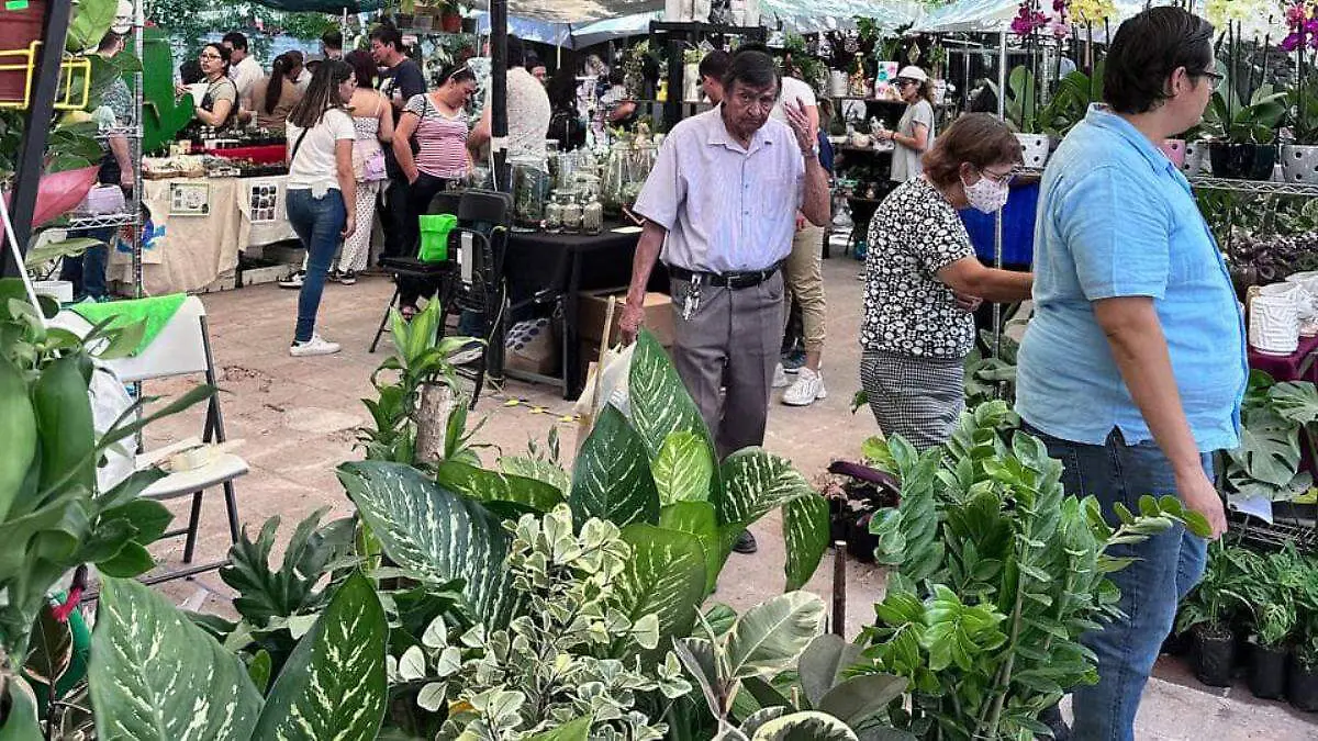 Un fin de semana para los amantes de las plantas