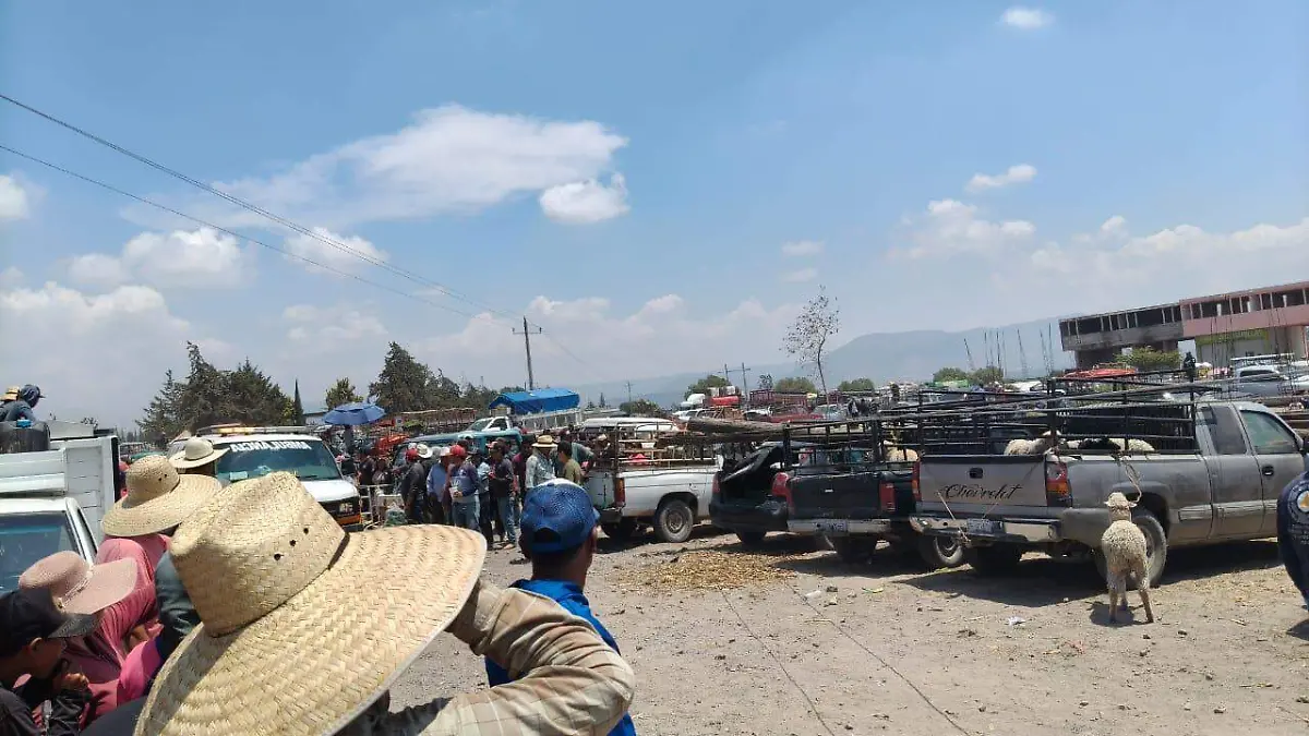 WhatsApp Image 2026-04-08 at 12.00.24 PM