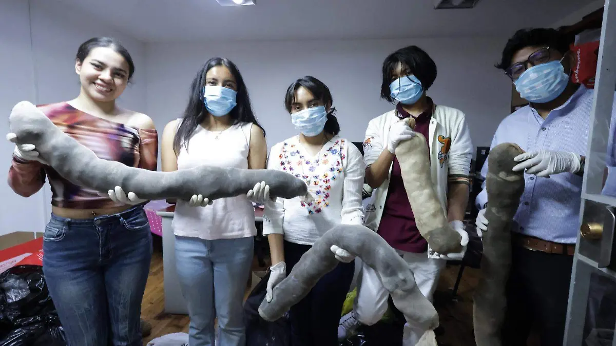 WhatsApp Image 2026-04-09 at 6.52.42 PM (1)