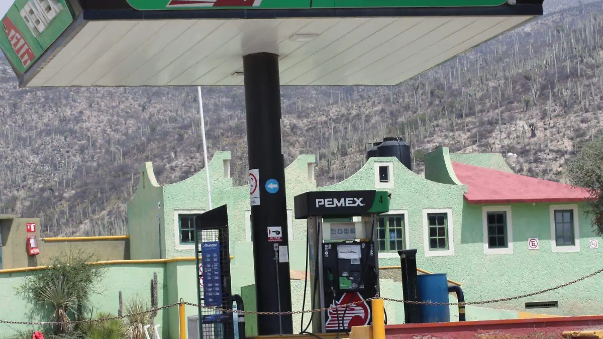 WhatsApp Image 2026-04-10 at 12.53.55 PM