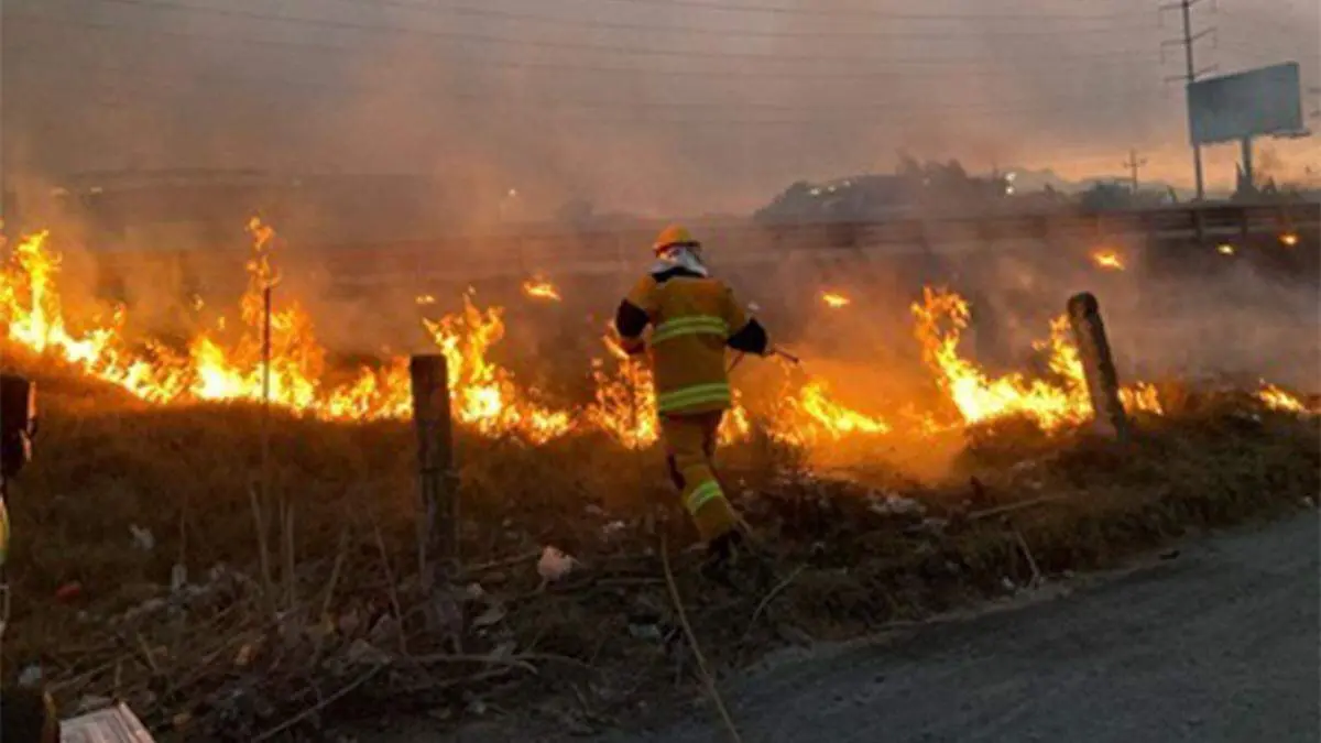 Elementos de Protección Civil y Bomberos del municipio acudieron a los puntos donde había fuego