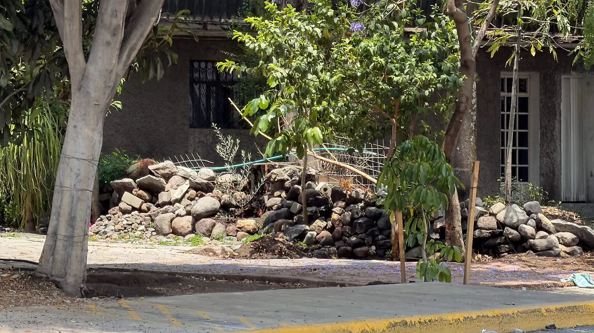 WhatsApp Image 2026-04-10 at 10.47.30 PM