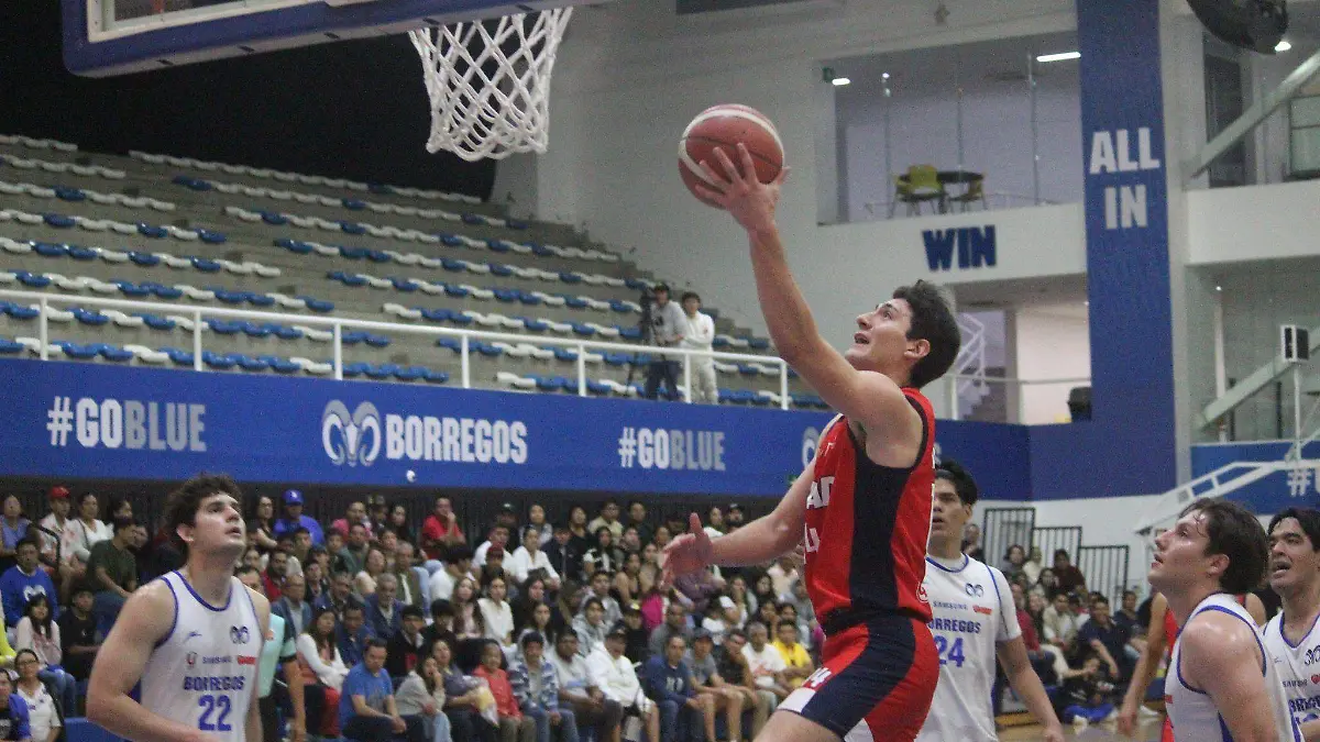Pablo Andrade