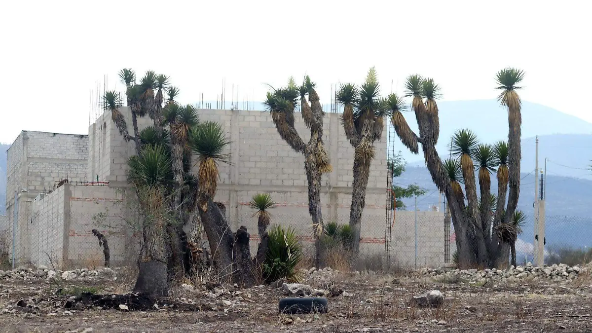 Invaden Reserva de la Biosfera en Tehuacán: en 10 colonias ilegales venden lotes a 75 mil pesos