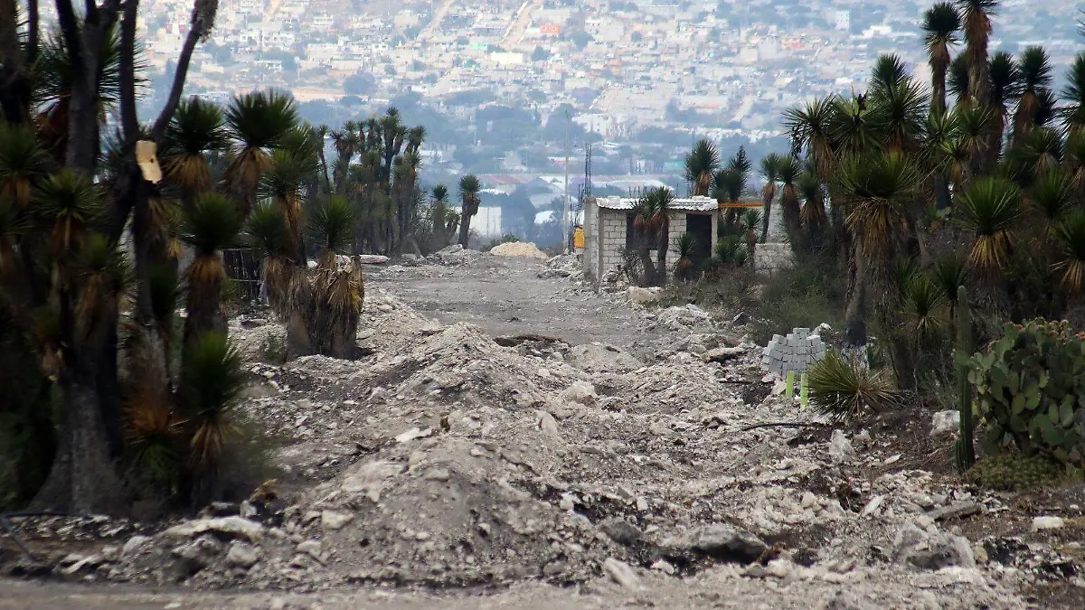 Invaden Reserva de la Biosfera en Tehuacán: en 10 colonias ilegales venden lotes a 75 mil pesos