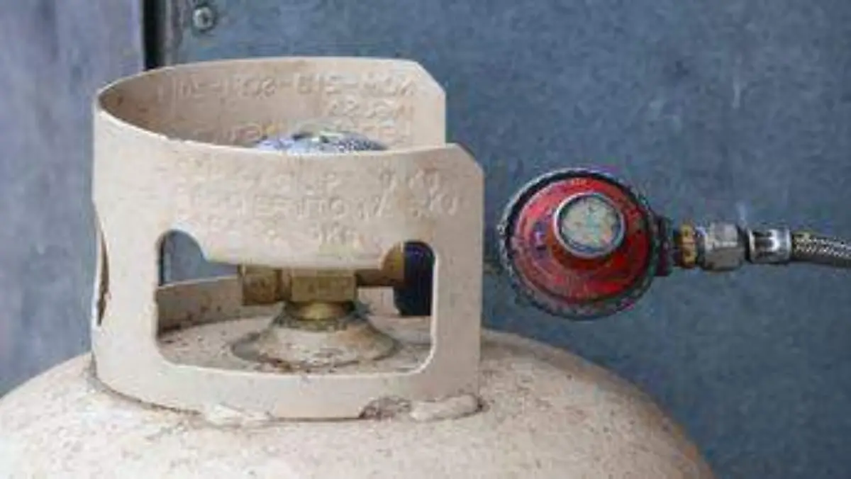 WhatsApp Image 2026-04-12 at 3.56.32 PM