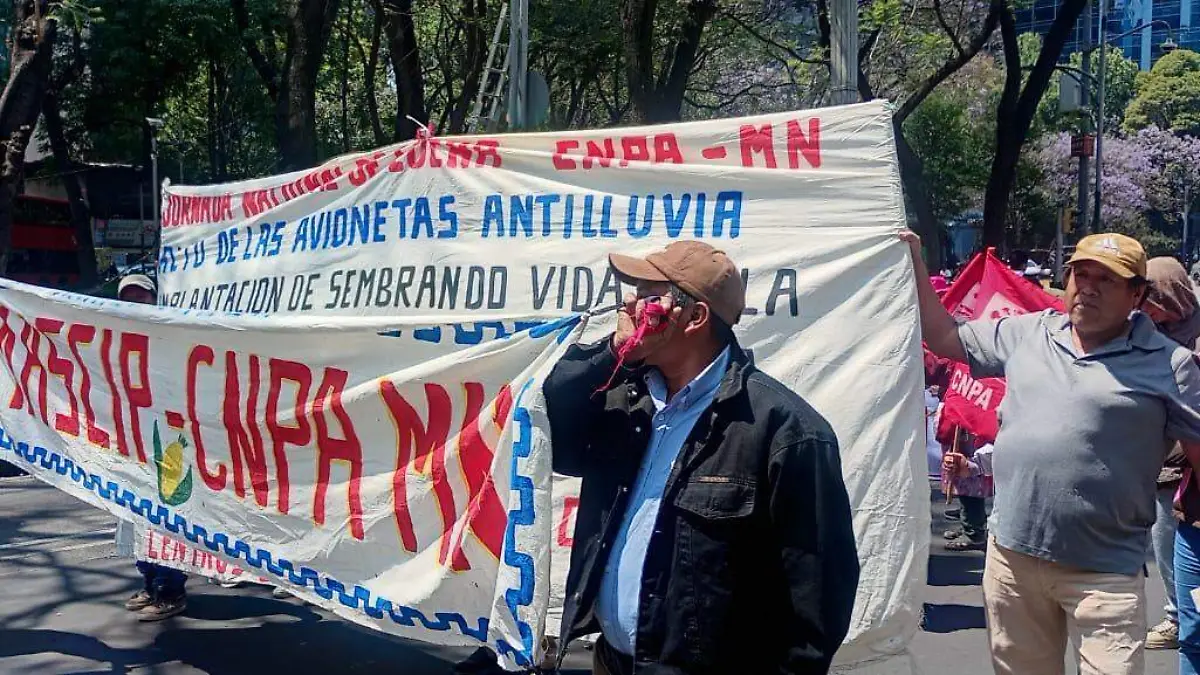 WhatsApp Image 2026-04-13 at 1.06.02 PM