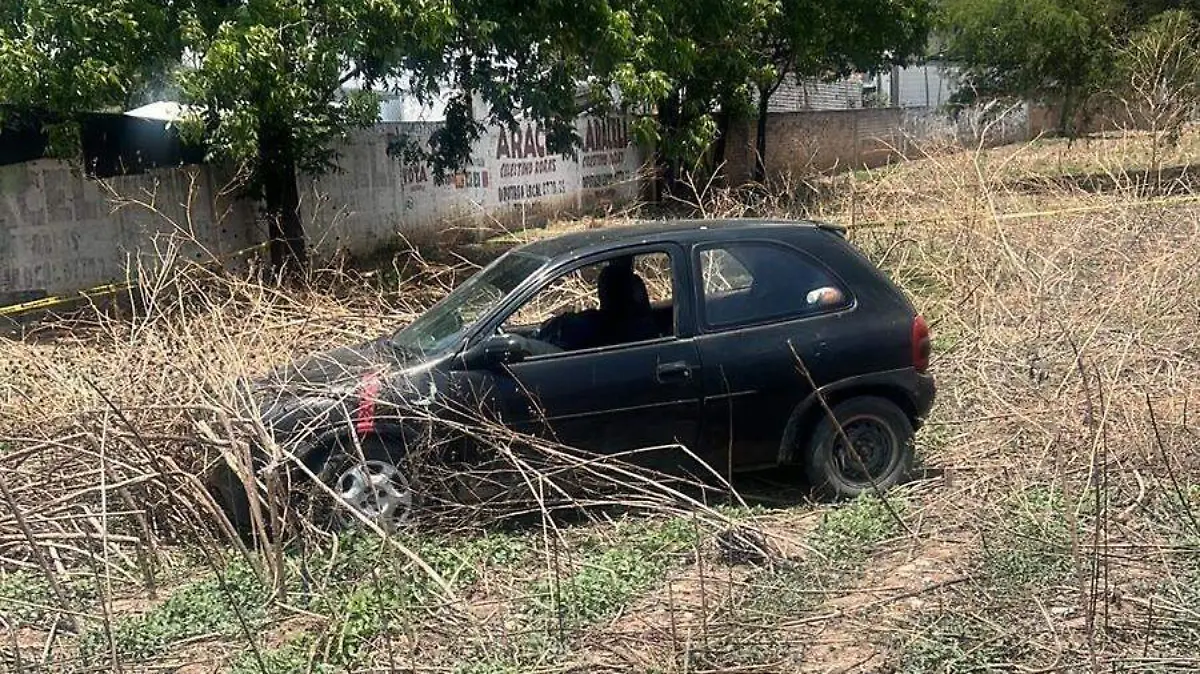 WhatsApp Image 2026-04-13 at 2.54.33 PM