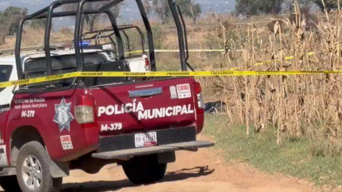 WhatsApp Image 2026-04-14 at 11.31.38 AM