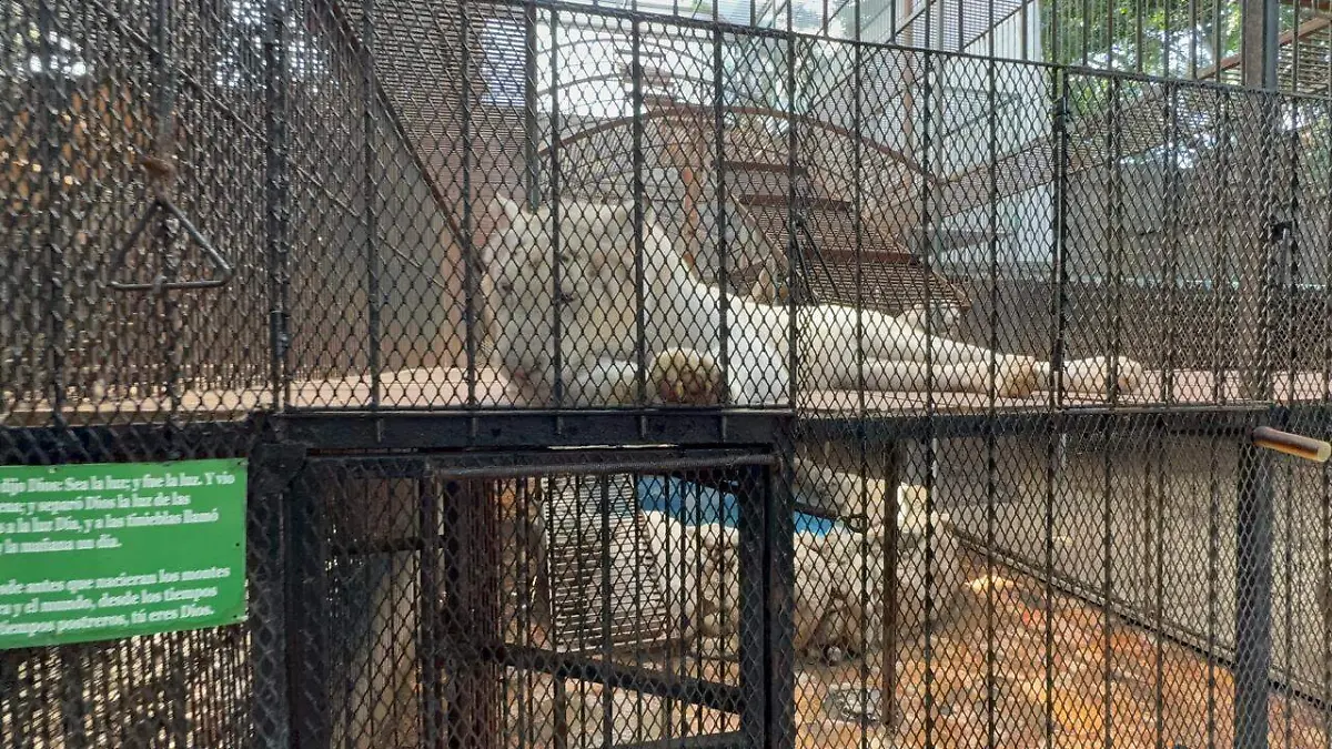 WhatsApp Image 2026-04-14 at 5.19.15 PM