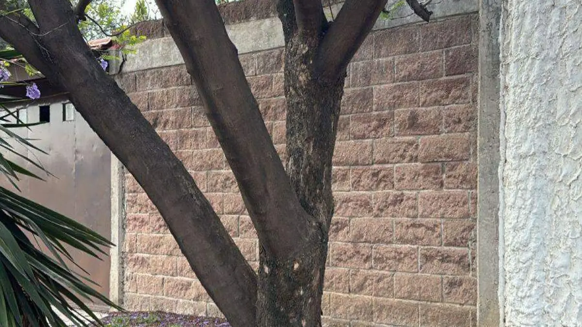 WhatsApp Image 2026-04-15 at 8.01.06 PM