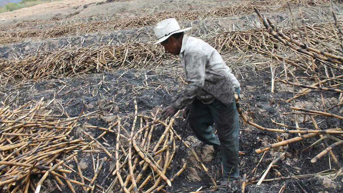 El presidente del Comisariado Ejidal de Calipan, Mauro Rivera Rodríguez, indicó que esta situación no solo beneficiaría a los obreros y sus familias