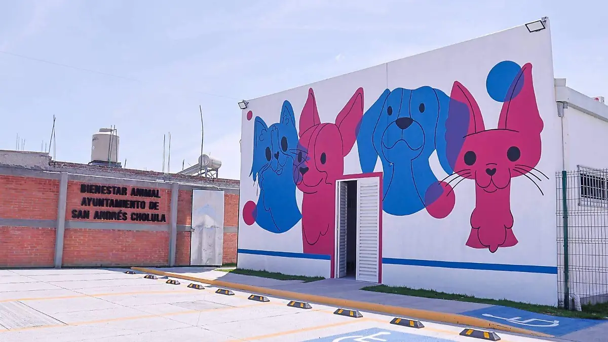 WhatsApp Image 2026-04-16 at 3.25.10 PM