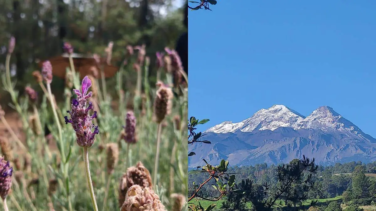 El sitio forma parte del Parque Nacional Iztaccíhuatl-Popocatépetl y promueve el turismo ecológico en la región.