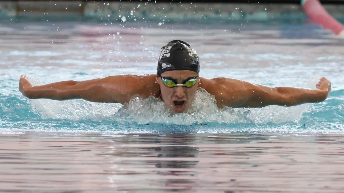 f797a4a2-2f8c-4679-b417-3fa390bb37ca