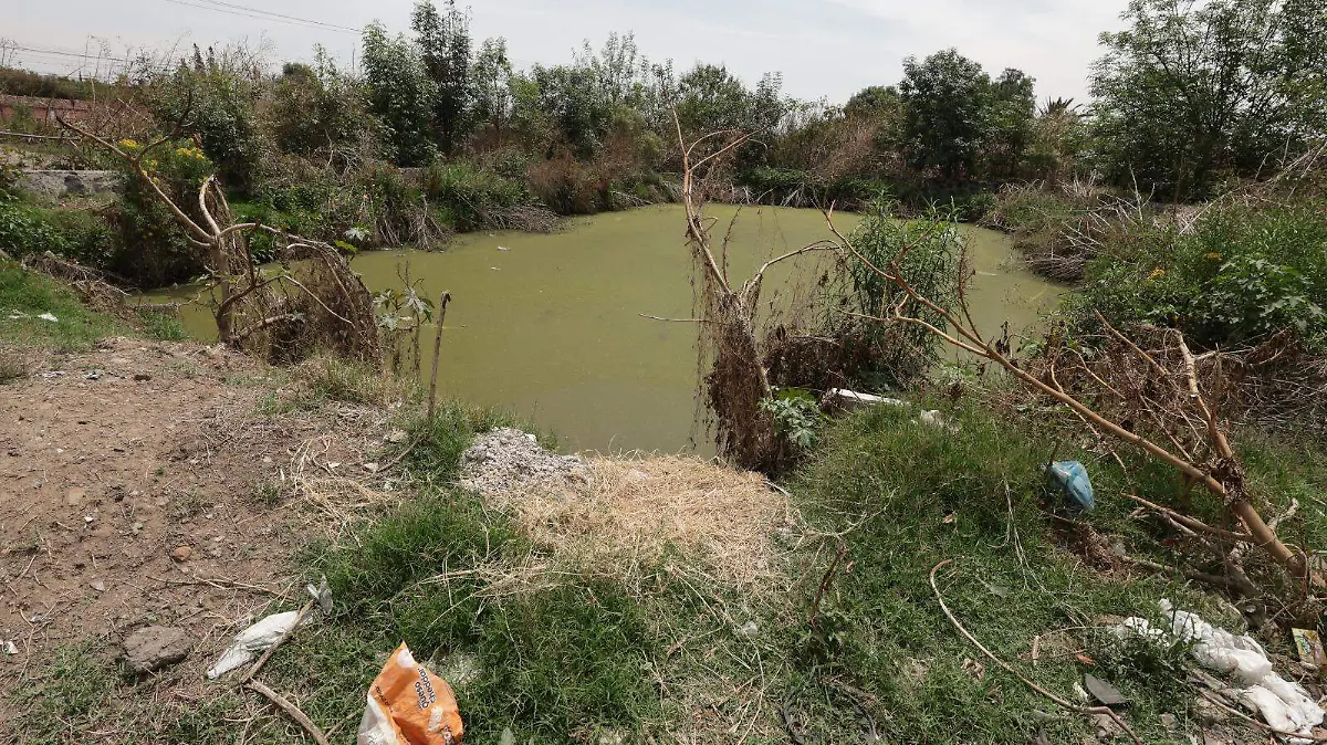 WhatsApp Image 2026-04-17 at 5.59.35 PM (1)