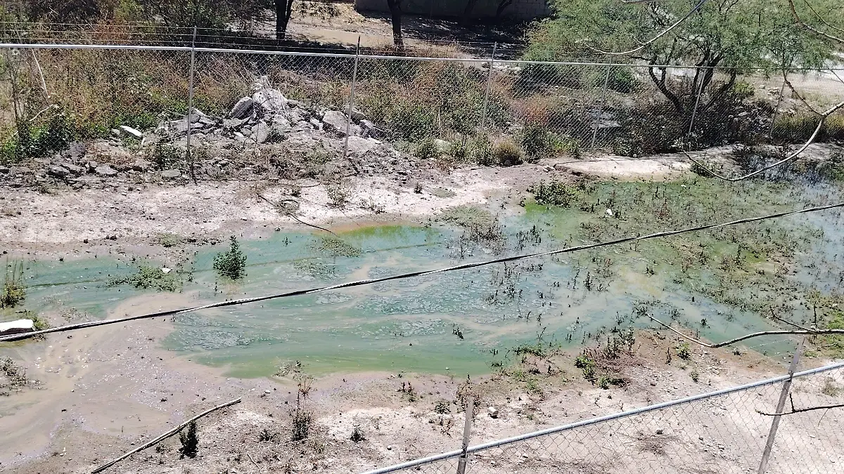 WhatsApp Image 2026-04-19 at 2.03.55 PM