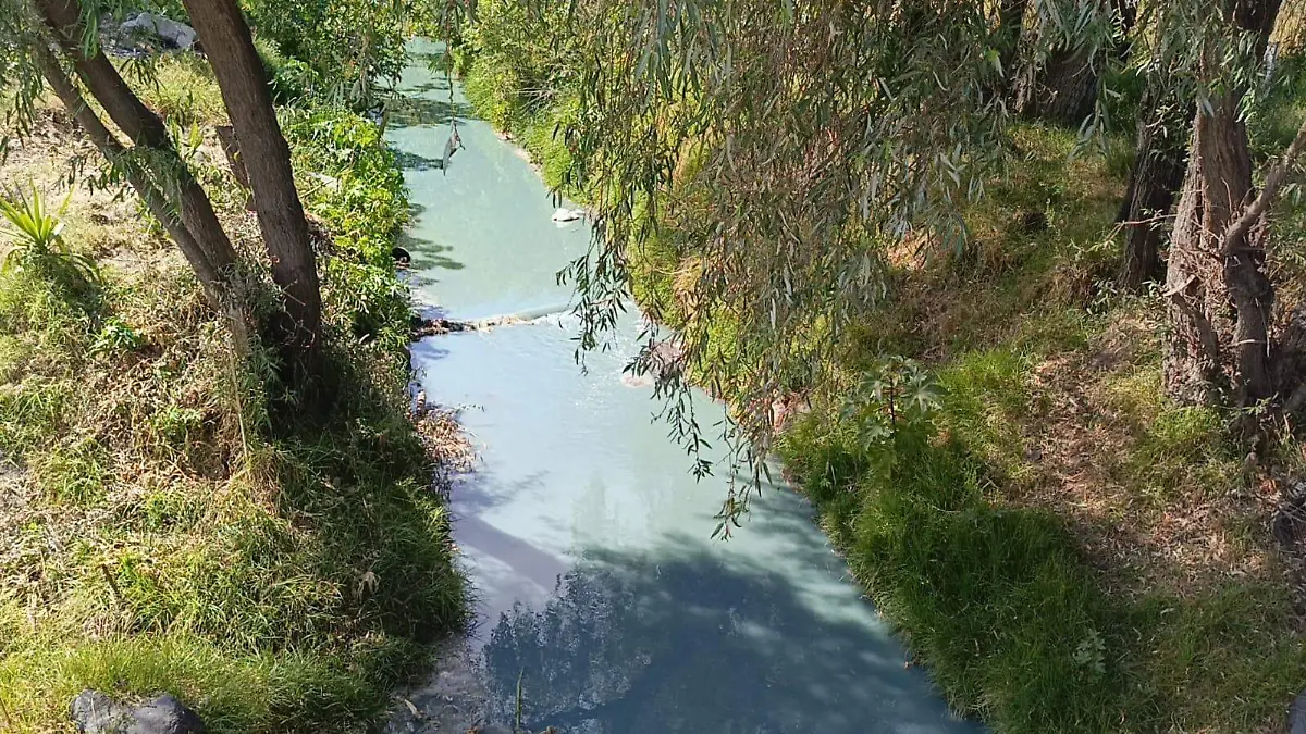 WhatsApp Image 2026-04-19 at 2.22.43 PM