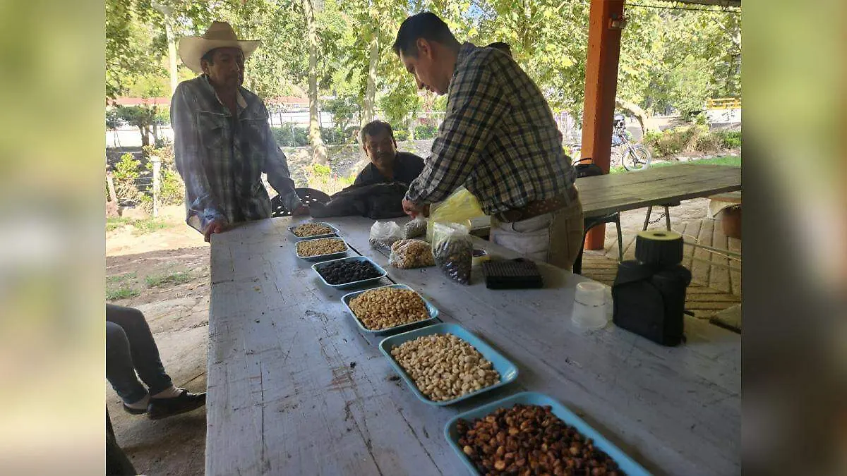 café capacitación productores