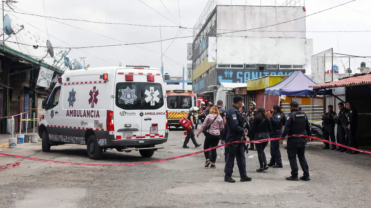 WhatsApp Image 2026-04-20 at 5.30.06 PM