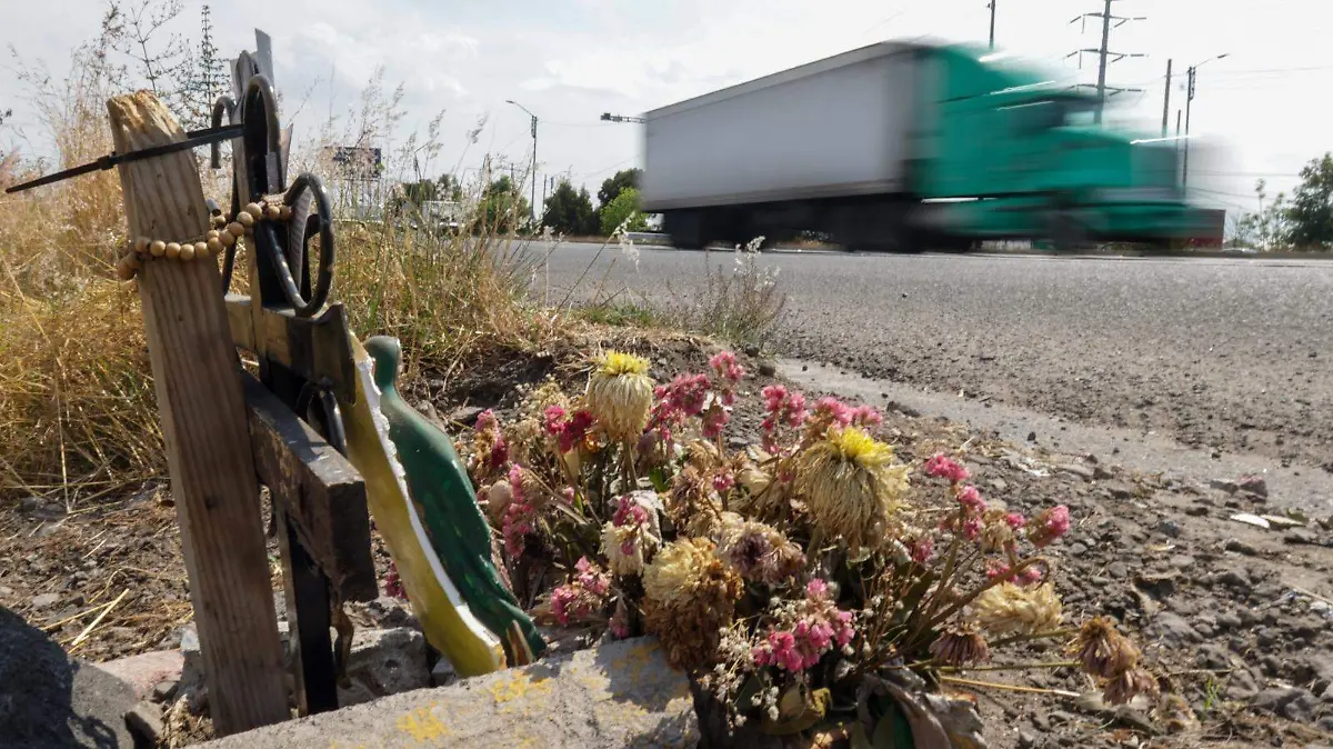 WhatsApp Image 2026-04-20 at 8.12.16 PM