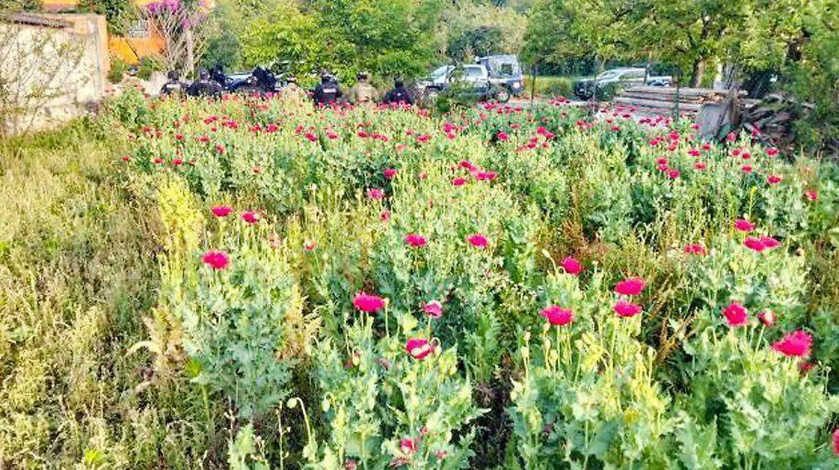 WhatsApp Image 2026-04-22 at 11.56.15 AM