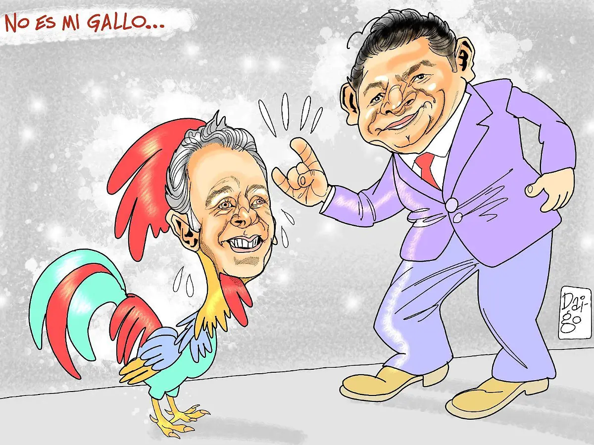No es mi gallo...