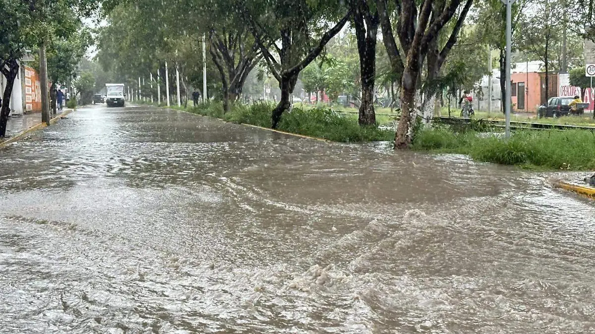 WhatsApp Image 2026-04-24 at 3.45.10 PM