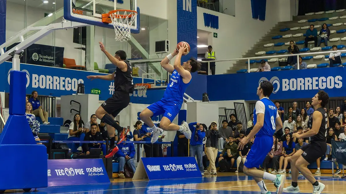 679380940_1401253928705381_3013184428030429368_n