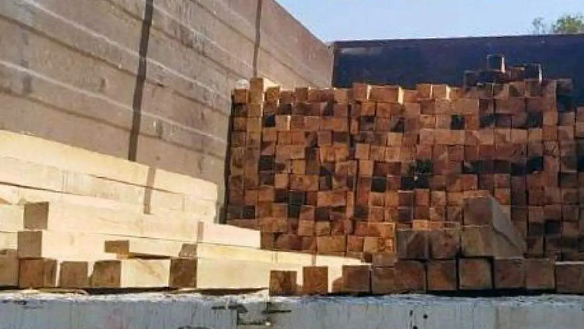 madera transportada ilegalmente