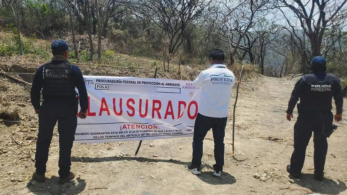 clausura de predio por Profepa en Huaquechula