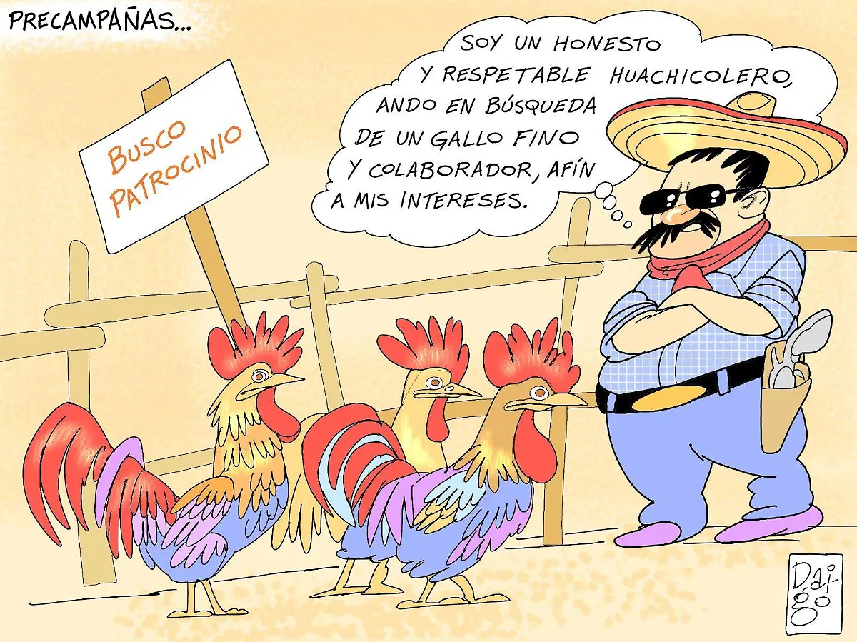 WhatsApp Image 2026-04-27 at 3.59.56 PM