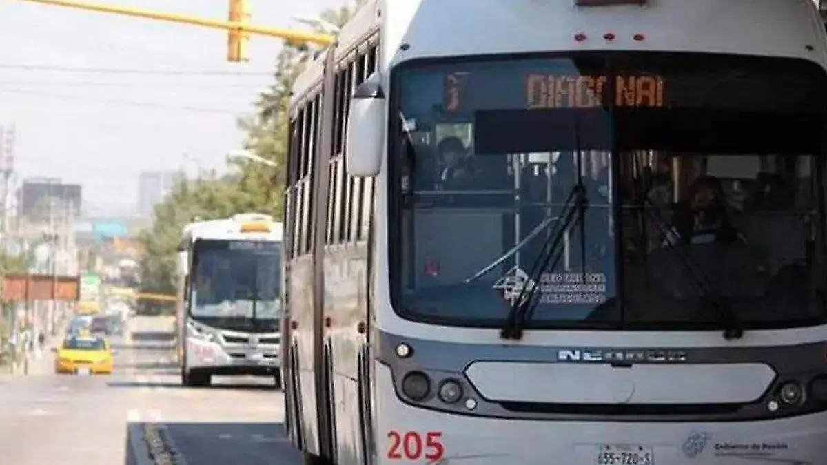 Unidad de transporte del RUTA