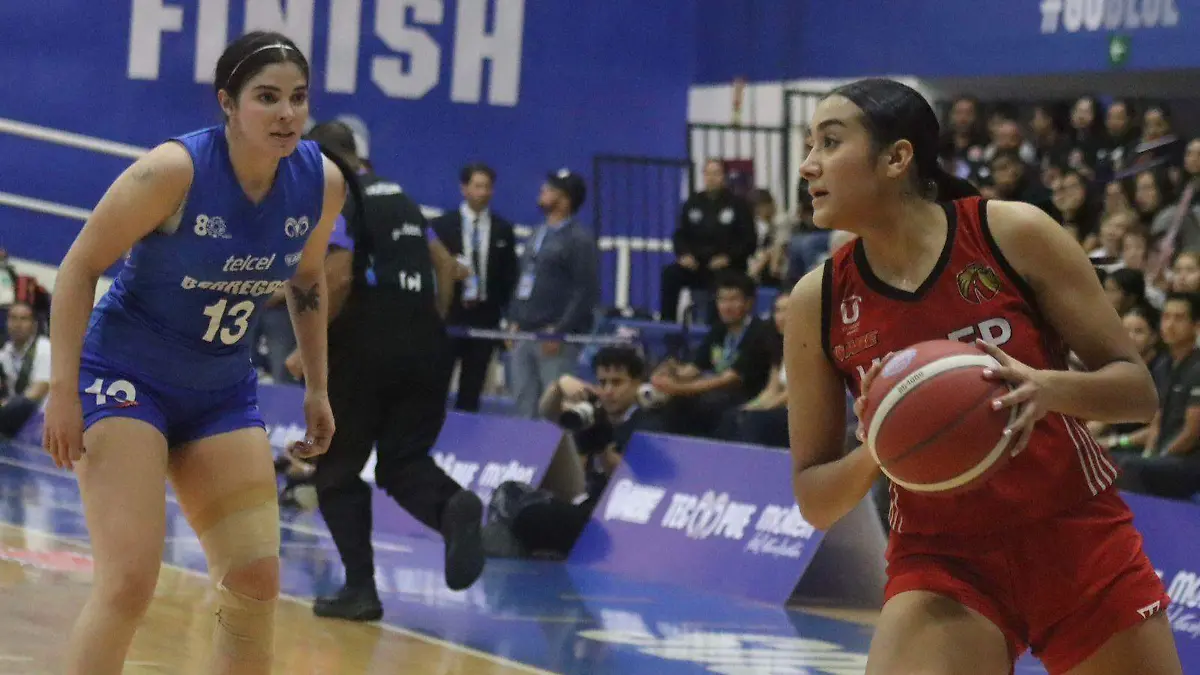 WhatsApp Image 2026-04-27 at 7.05.53 PM