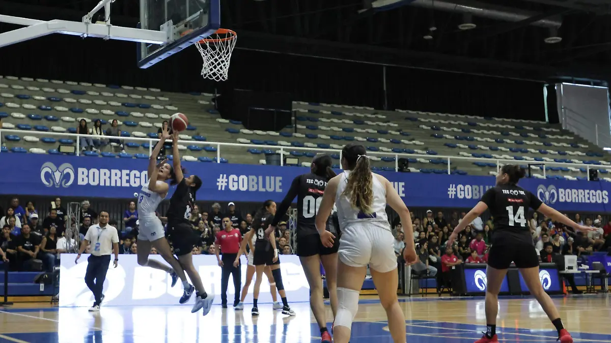 WhatsApp Image 2026-04-29 at 5.26.07 PM