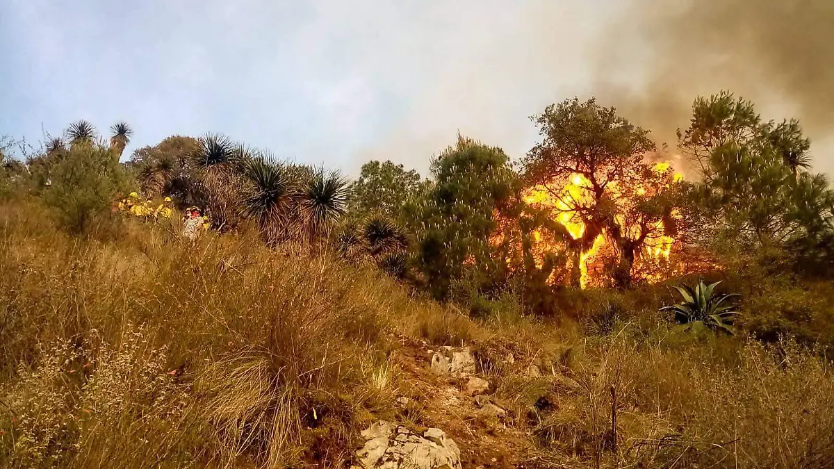 El combate al incendio ha contado con el respaldo de habitantes de diversas comunidades
