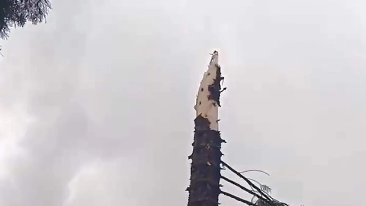 Tras el incidente, elementos de Protección Civil y de la Policía Municipal acudieron para acordonar la zona afectada