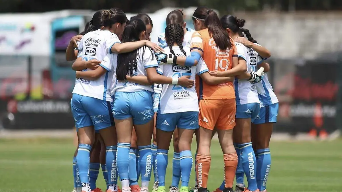 Las fuerzas básicas