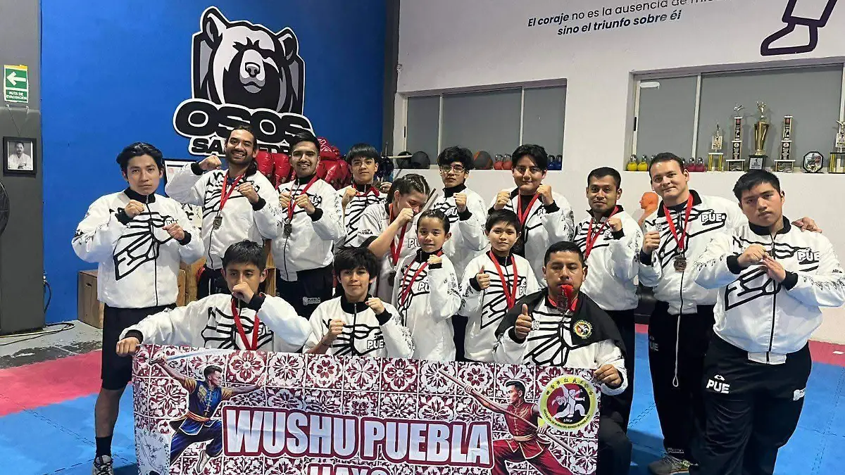 Wushu