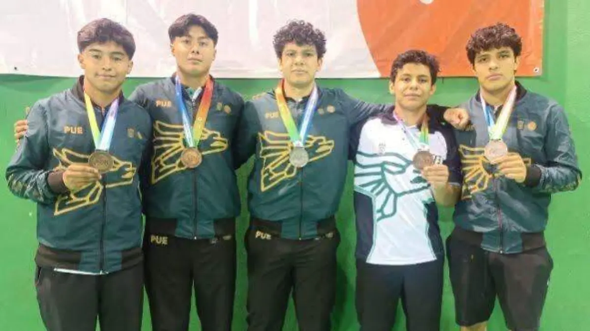Los judocas