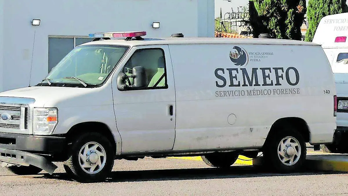 SEMEFO DANIEL_CMYK