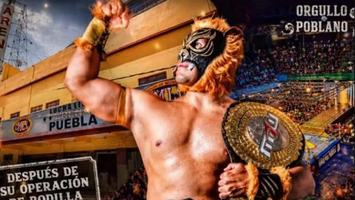 lucha