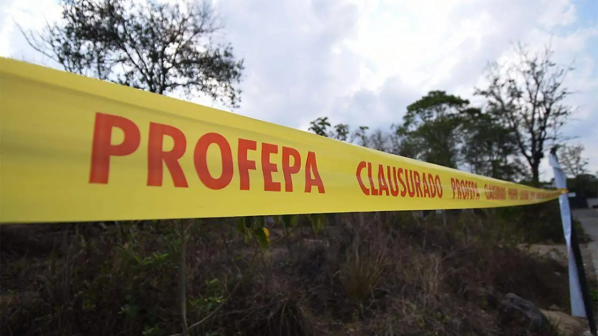 La extracción, compra o venta sin la autorización de la Secretaría de Medio Ambiente y Recursos Naturales (Semarnat) es un delito federal