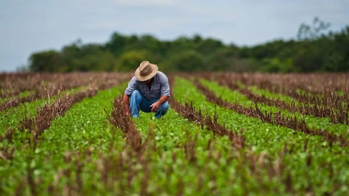 productores del campo