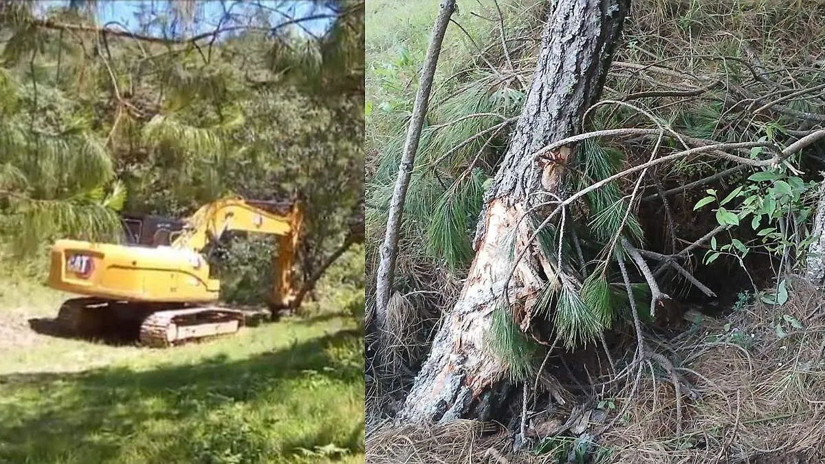 maquinaría ingresa a zona de manantiales en zacatlán 