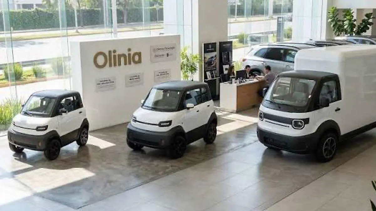 olinia méxico
