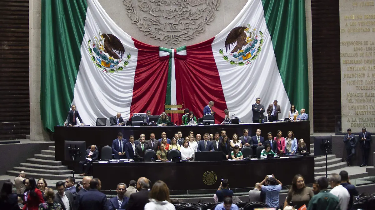 1079540_Sesión Cámara de diputados_impreso