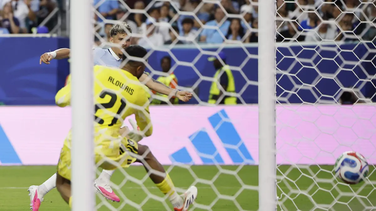 Maxi