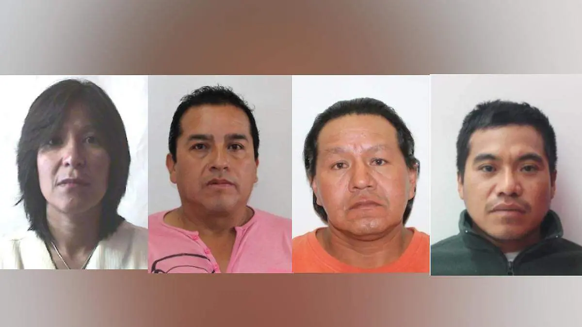 Proyecto nuevo