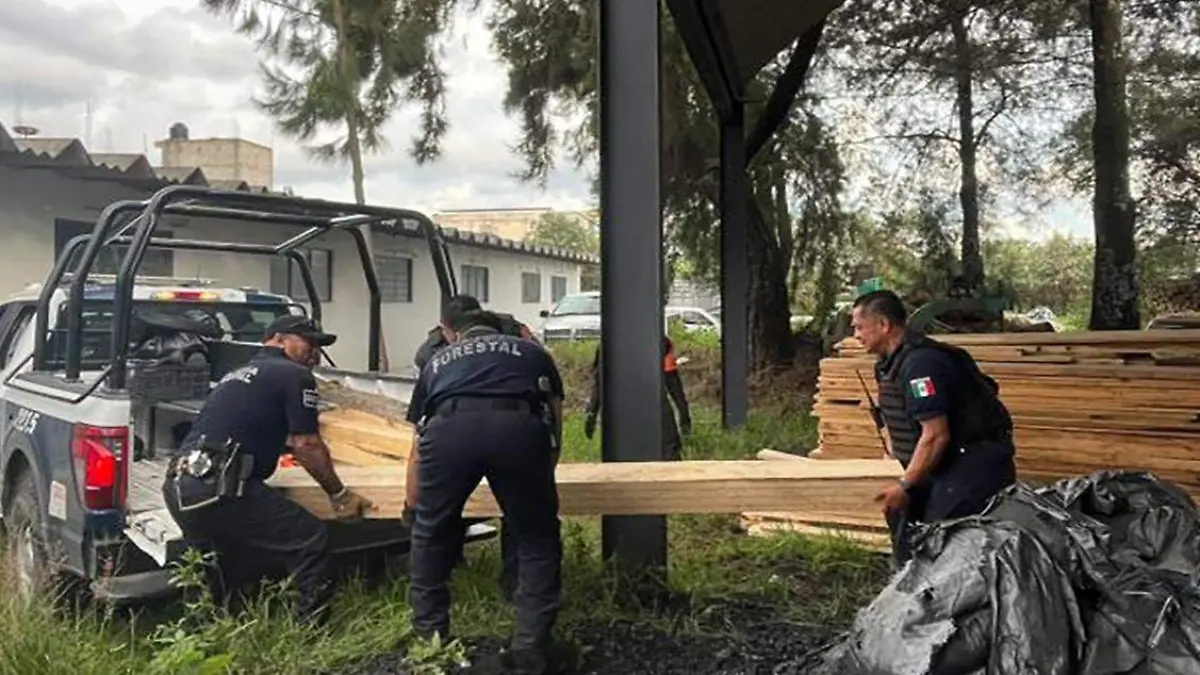 Elementos de la SSP aseguraron material forestal durante acciones de vigilancia en áreas boscosas.